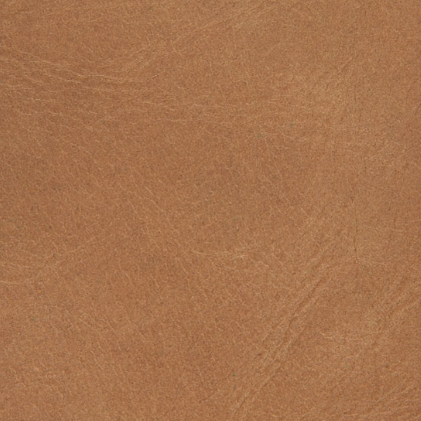 LN-Envelhecido CH-04